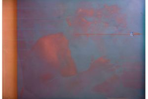 Elaine Stocki