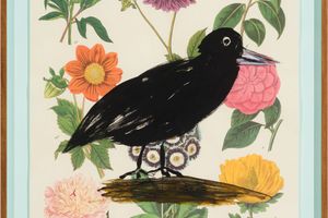Jenny Watson