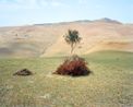 Symbol of graves by Lindokuhle Sobekwa contemporary artwork Print