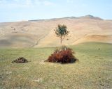 Symbol of graves by Lindokuhle Sobekwa contemporary artwork print
