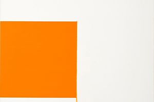 Callum Innes