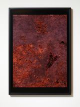 Observations from the Critical Zone 3 by Anne Noble contemporary artwork print