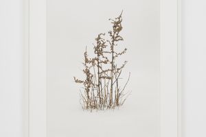 James Casebere