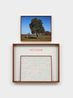 On the Hunt Men Seeking Women 18951905 Not Poor by Sophie Calle contemporary artwork Photography