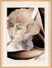 Collage drawings 1 by Kalliopi Lemos contemporary artwork Painting