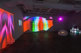 OK Orchid by Emmett Potter contemporary artwork installation moving image