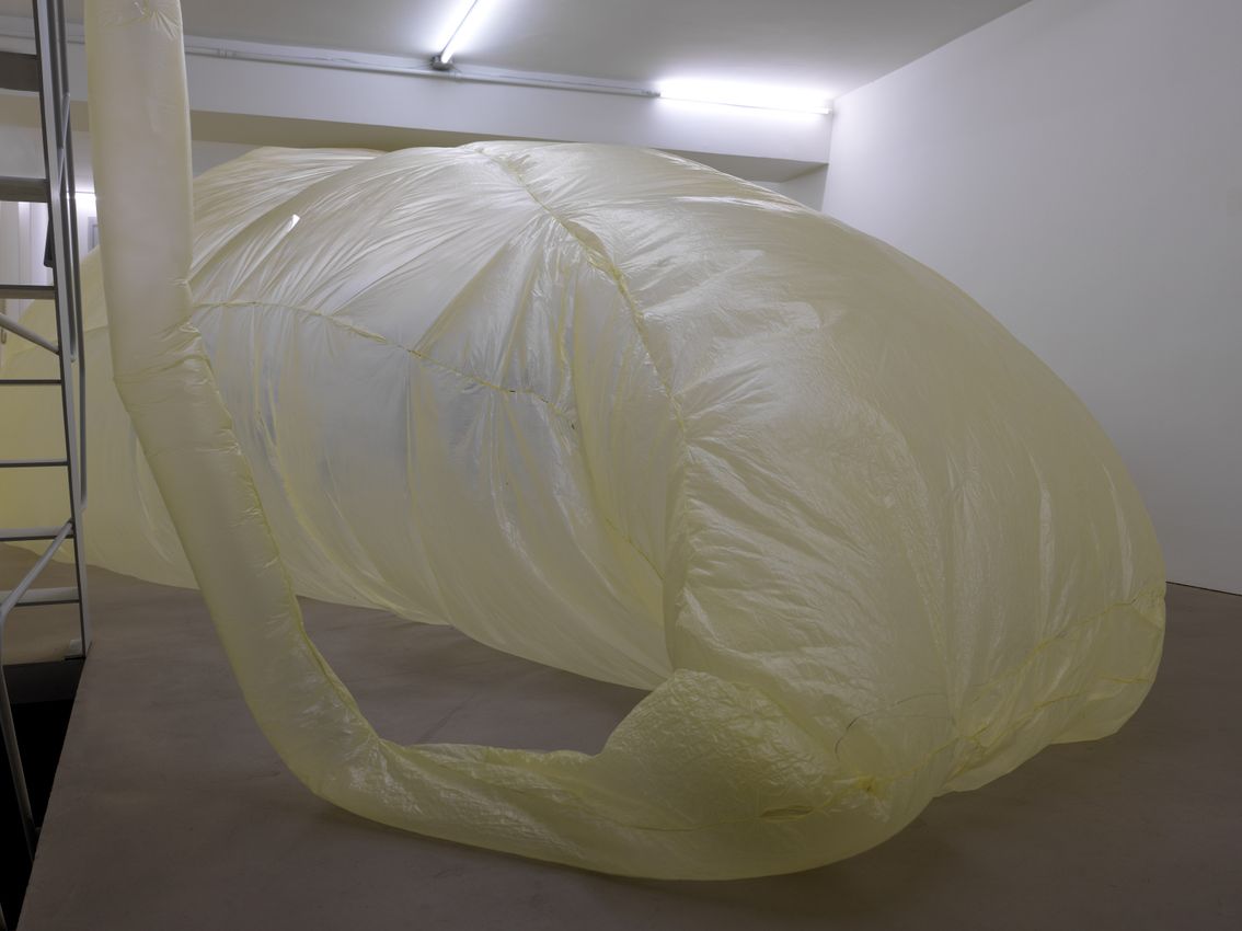 IAN KIAER
