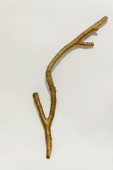 Topographic Specimens 14 by Adip Dutta contemporary artwork sculpture