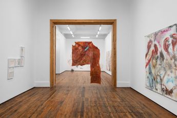 Contemporary art exhibition Pelagie Gbaguidi The Colours are the Bark at Goodman Gallery Cape Town South Africa
