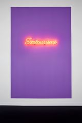 Exotourisme by Dominique Gonzalez-Foerster contemporary artwork sculpture works on paper