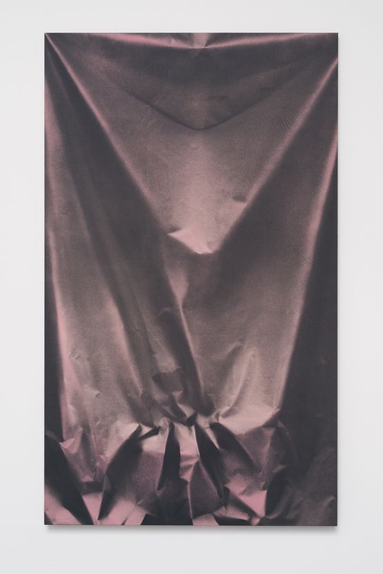 Folds and Bamboo by Ulla Von Brandenburg contemporary artwork Mixed Media