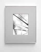 Plant VII Negative by Sybren Vanoverberghe contemporary artwork print works on paper