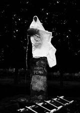 Memory of Mother No 10 by Fidan Abilova contemporary artwork photography