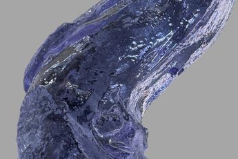 Contemporary art exhibition Ugo Rondinone waterfall at Gladstone 530 West 21st Street New York United States