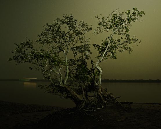Where the Birds Never Sing by Soumya Sankar Bose contemporary artwork Photography