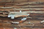 Chinese Library No.63 by Xie Xiaoze contemporary artwork Painting