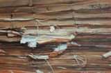 Chinese Library No.63 by Xie Xiaoze  contemporary artwork painting