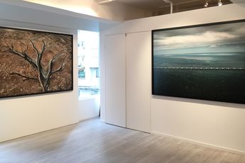 Contemporary art exhibition Edward Burtynsky Essential Elements at Sundaram Tagore Gallery Hong Kong