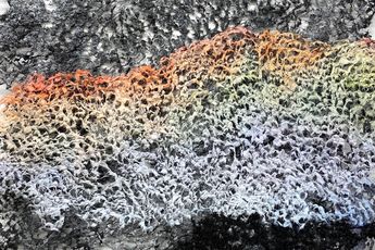 Contemporary art exhibition Neha Vedpathak Neha Vedpathak In Plain Sight at Sundaram Tagore Gallery Singapore