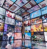 Lies by Paola Pivi contemporary artwork installation