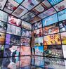 Lies by Paola Pivi contemporary artwork Installation