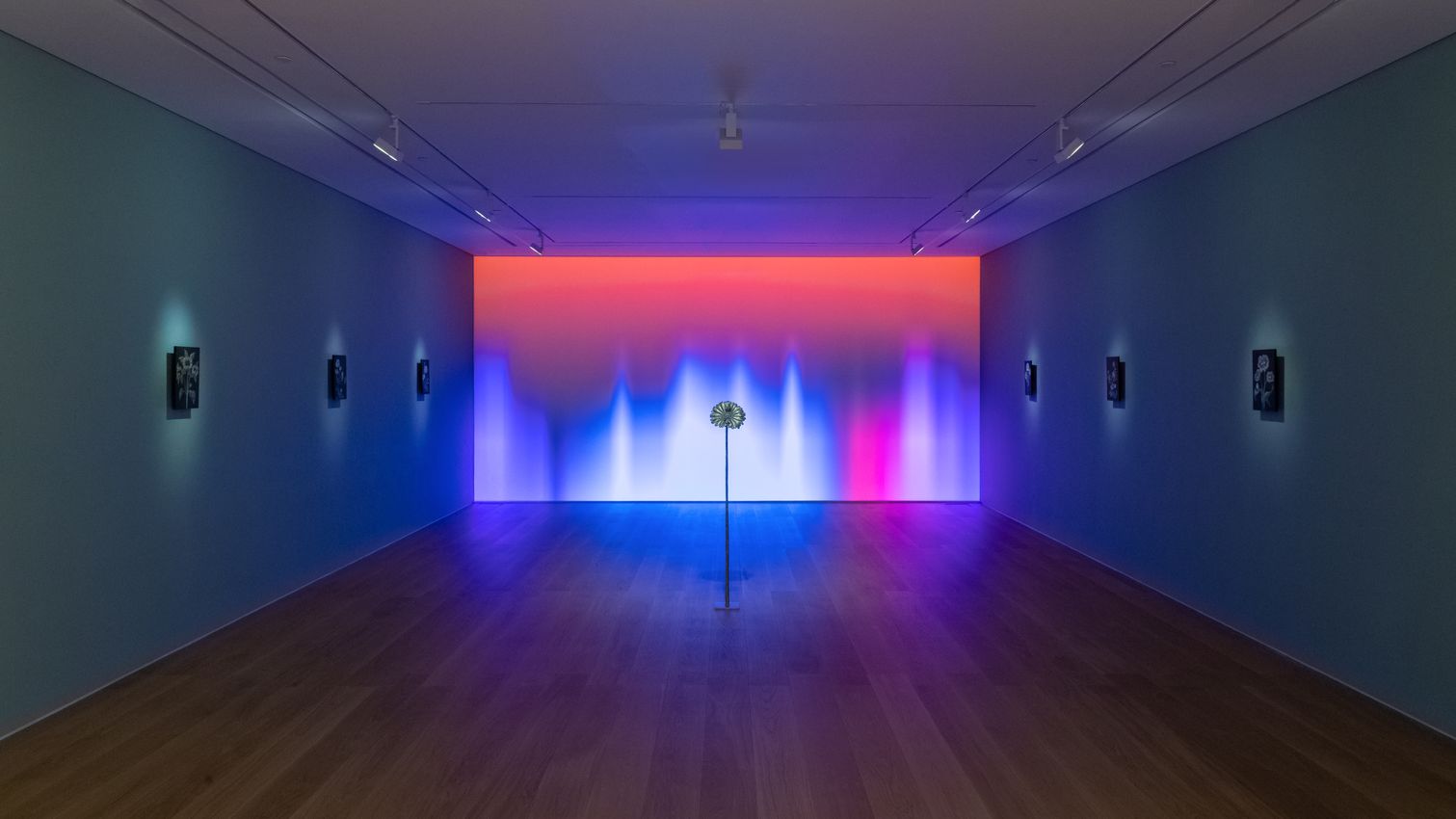 Laurent Grasso