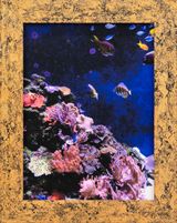 CORAL REEF TANK by Erica Van Zon contemporary artwork print