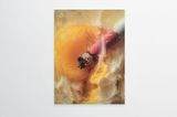 IMAGINE 2402 by mentalKLINIK contemporary artwork painting print mixed media
