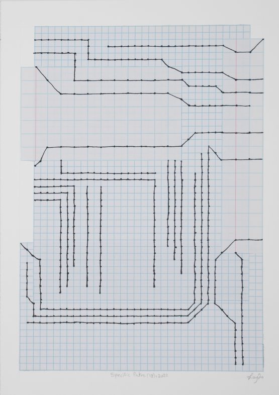 Specific Paths 10 by Layla Juma contemporary artwork Drawing