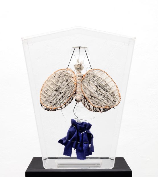 Moths by Clemen Parrocchetti contemporary artwork Sculpture