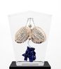 Moths by Clemen Parrocchetti contemporary artwork Sculpture