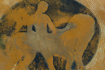 Peter Bohnisch contemporary artist