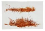 Wild Flowers by Ricardo Brey contemporary artwork drawing works on paper