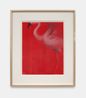 Red Flamingo by Holly Lowen contemporary artwork Painting