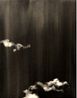 From the series Snow and Dust by Lucia Tallova contemporary artwork Painting