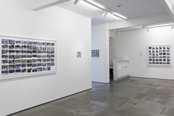Contemporary art exhibition Milton Machado X at Galeria Nara Roesler Rio de Janeiro Brazil