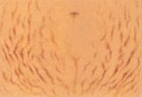 Marks by Eunsil Lee contemporary artwork works on paper