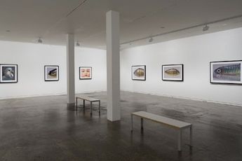 Contemporary art exhibition Boyd Webb From the Cusp at Two Rooms Auckland New Zealand