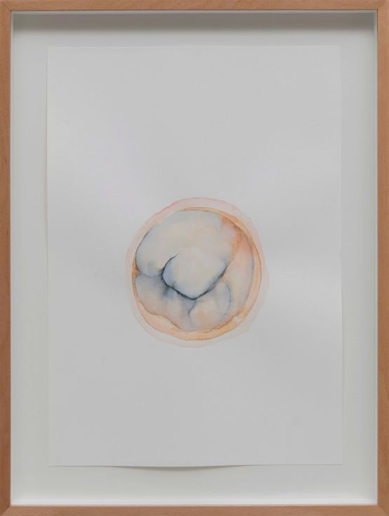 seed iv by Yasam Sasmazer contemporary artwork Painting