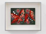 Sterculia with seeds xvii by Vivien Zhang contemporary artwork works on paper