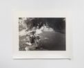 Les Vacances Les Cousins Lascelle by Julien Carreyn contemporary artwork Photography