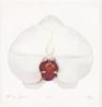 White Orchid by Marc Quinn contemporary artwork Painting