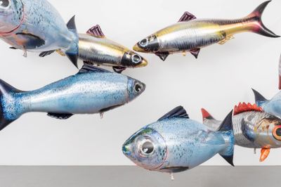 Galleries Adjust Presentations for Art Basel Hong Kongs Online Viewing Rooms