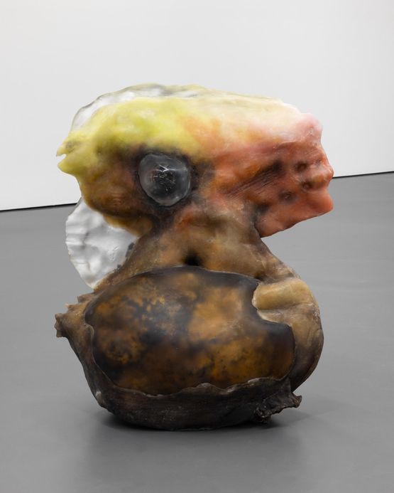 Minds Eye F by Pierre Huyghe contemporary artwork Mixed Media