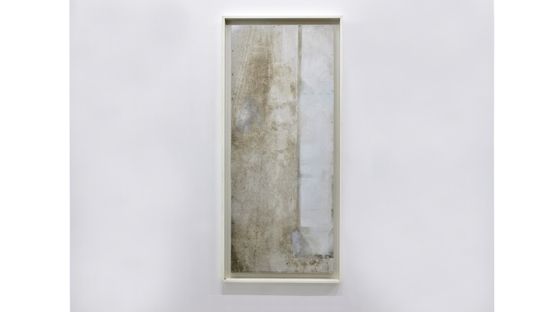 Christmas White by Masato Kobayashi contemporary artwork Mixed Media