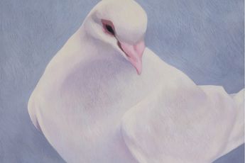 Li Manjin contemporary artist