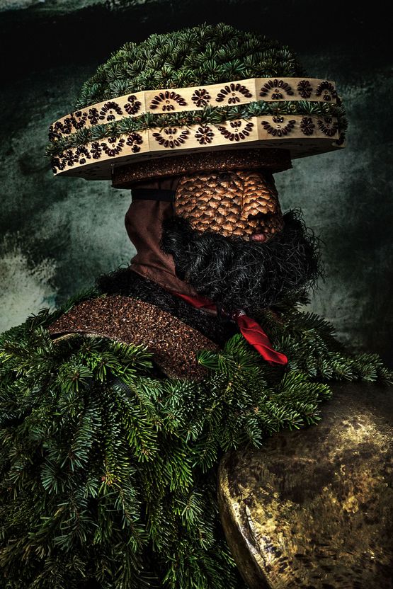 Goura cristata Brazil by Mario Testino contemporary artwork Photography