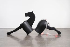 Alexandra Bircken