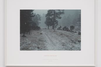 Richard Long contemporary artist