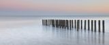 Momentum by Tom D. Jones contemporary artwork print